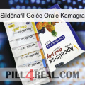 Sildénafil Gelée Orale Kamagra 11
